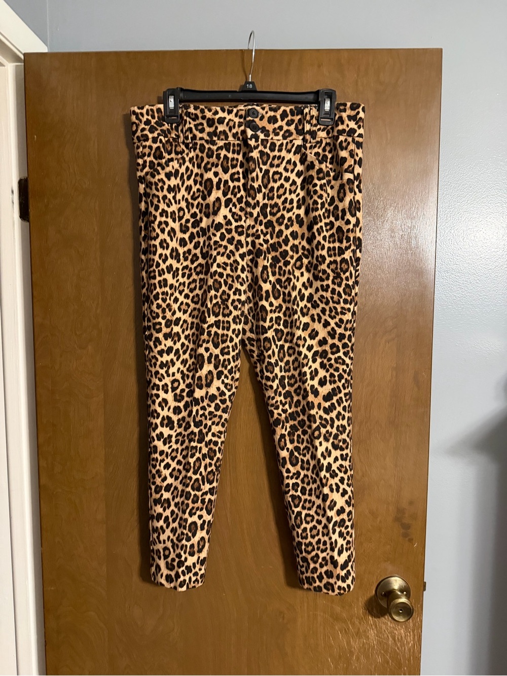 Torrid Leopard Print Ponte Pants